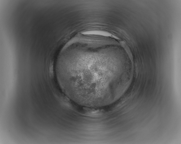 X0000111940267200908101208