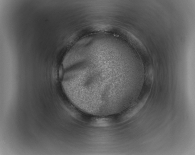 X0000111940268200908101208