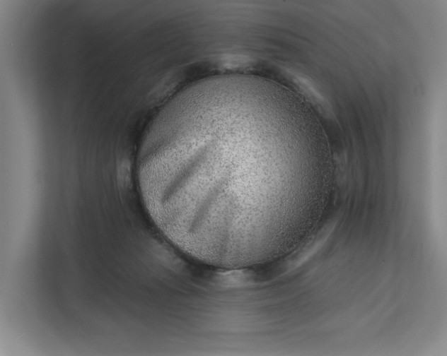 X0000111940269200908101208