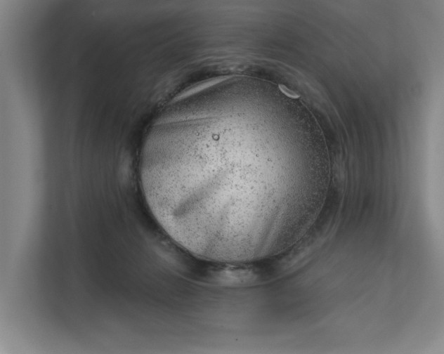 X0000111940270200908101208