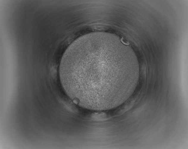 X0000111940271200908101208