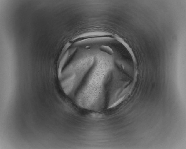 X0000111940272200908101208