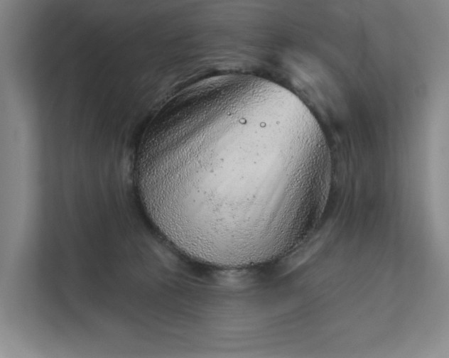 X0000111940273200908101208