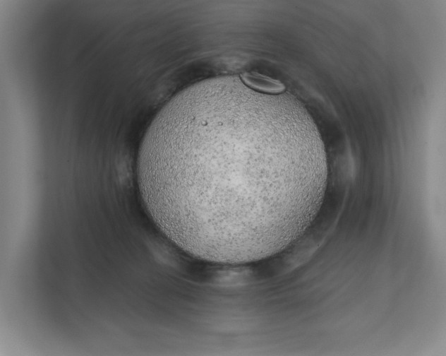 X0000111940274200908101208