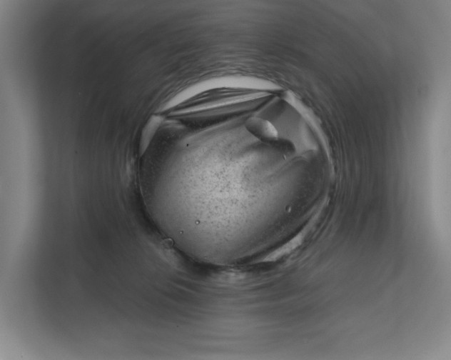 X0000111940276200908101208