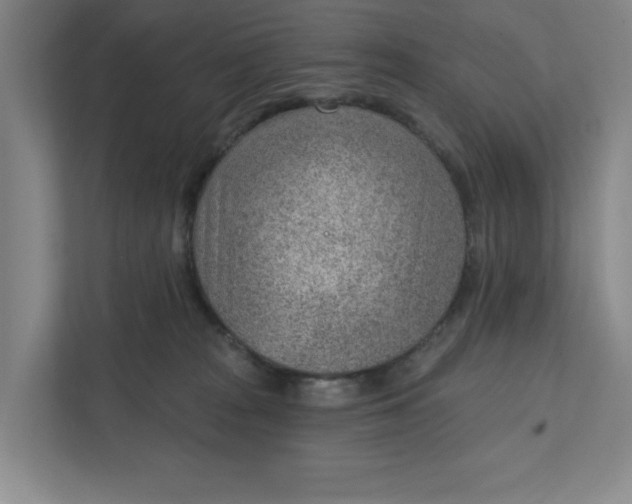 X0000111940277200908101208