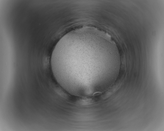 X0000111940278200908101208