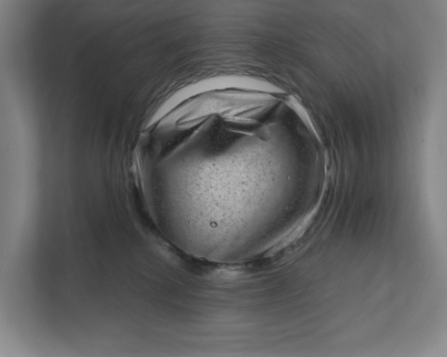 X0000111940280200908101208