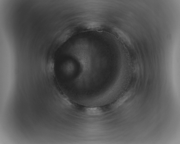 X0000111940281200908101208