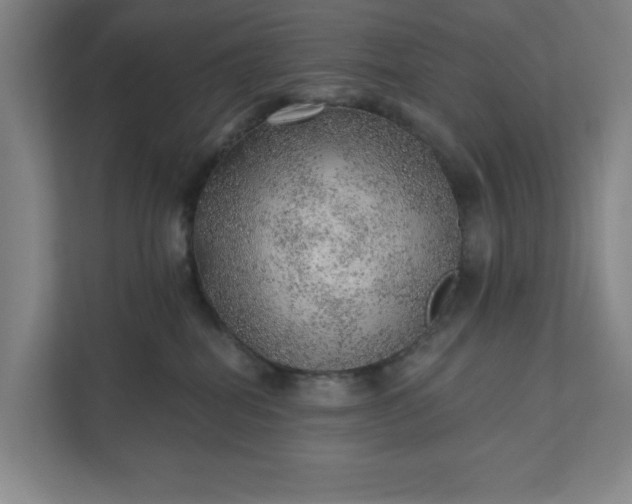 X0000111940282200908101208