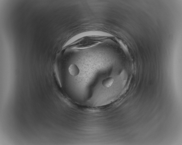 X0000111940284200908101208