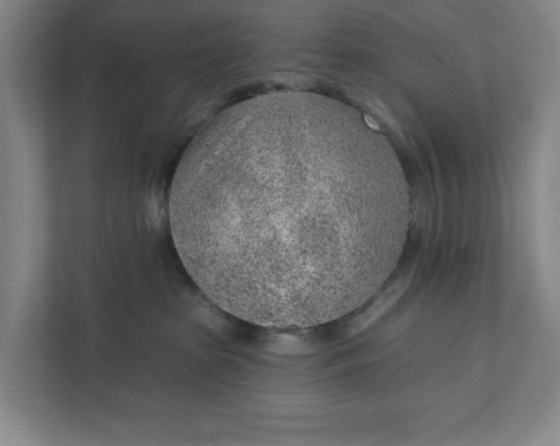 X0000111940285200908101208