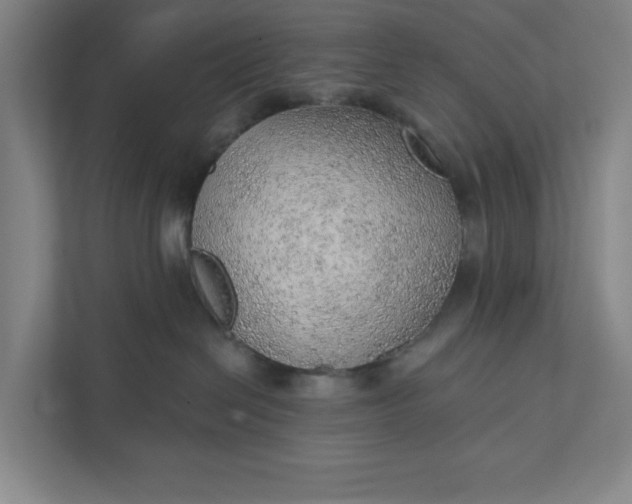 X0000111940286200908101208