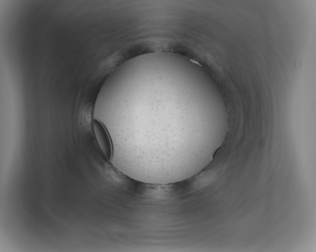 X0000111940288200908101208