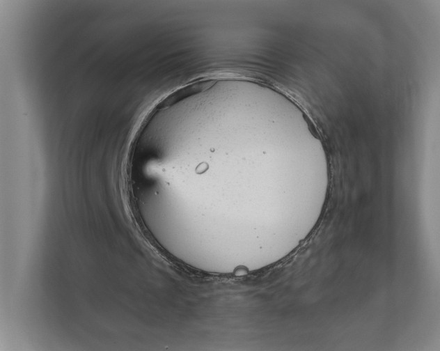 X0000111940289200908101208