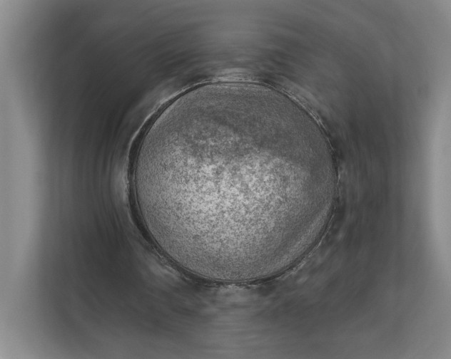 X0000111940290200908101208