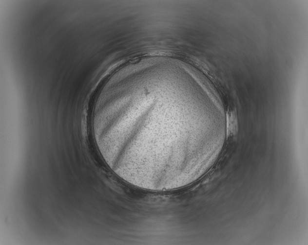 X0000111940291200908101208