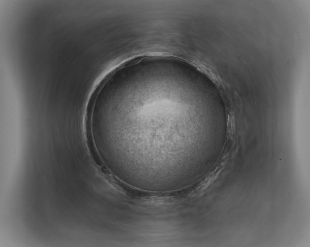 X0000111940292200908101208