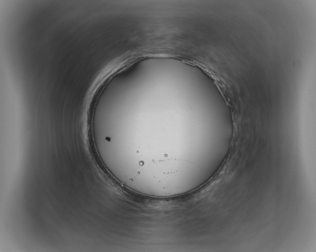 X0000111940293200908101208