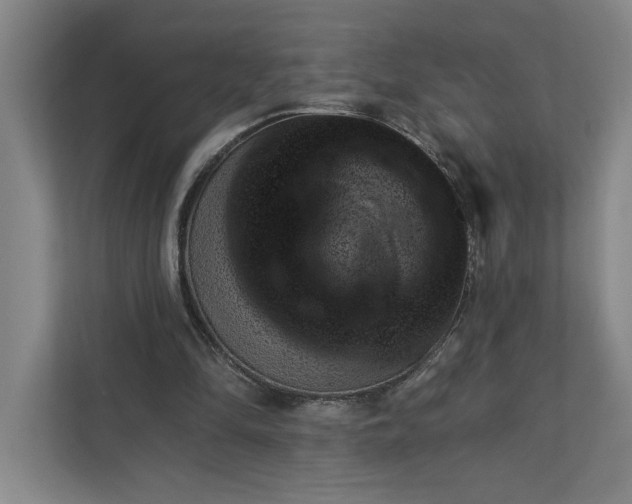 X0000111940294200908101208