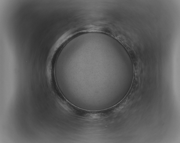 X0000111940295200908101208