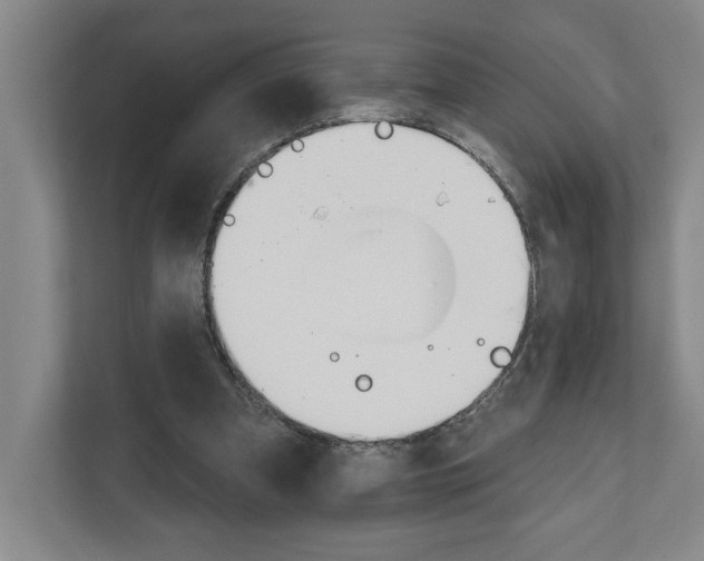 X0000111940297200908101208