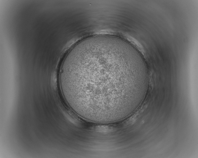 X0000111940298200908101208