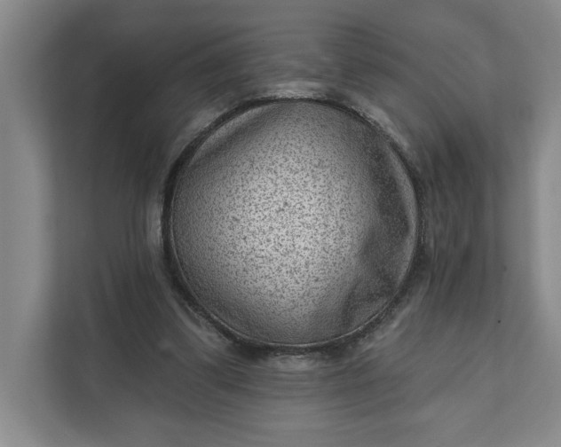 X0000111940299200908101208