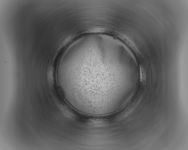 X0000111940300200908101208