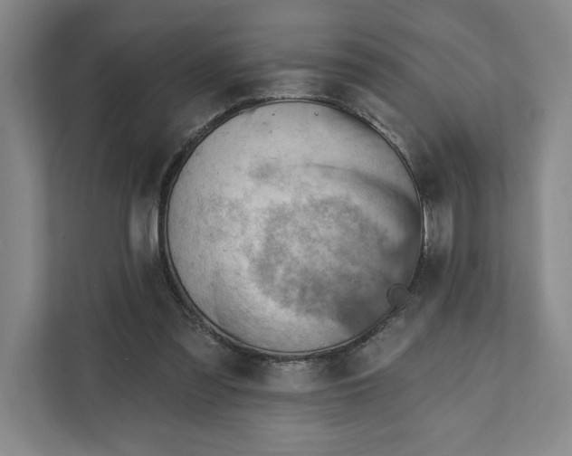 X0000111940301200908101208