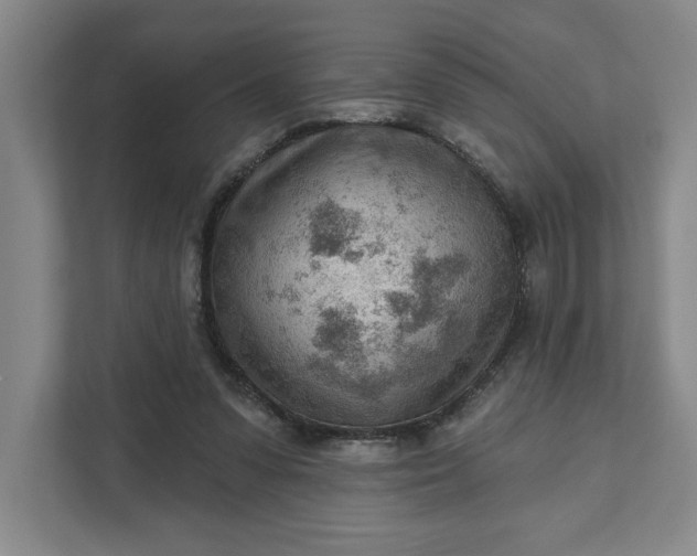 X0000111940303200908101207