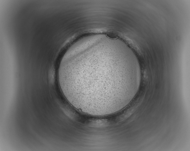 X0000111940304200908101207