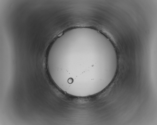 X0000111940305200908101207