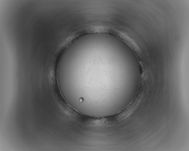 X0000111940306200908101207