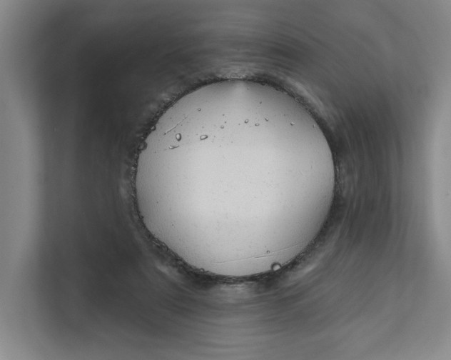 X0000111940307200908101207