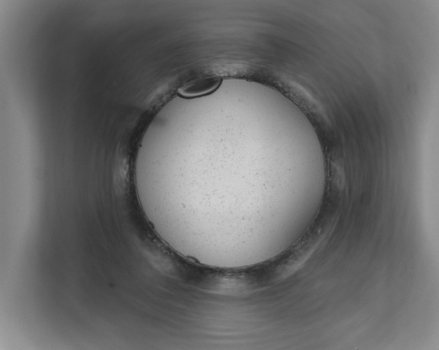 X0000111940308200908101207