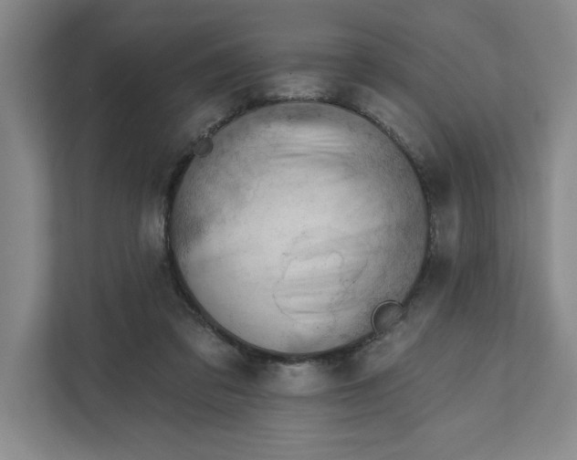 X0000111940309200908101207