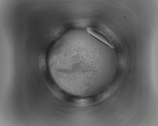 X0000111940312200908101207