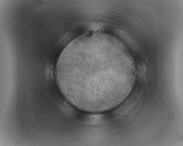 X0000111940313200908101207