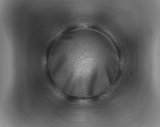 X0000111940314200908101207