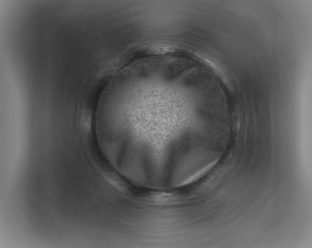 X0000111940315200908101207