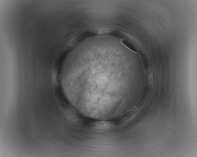 X0000111940316200908101207