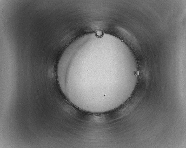 X0000111940317200908101207