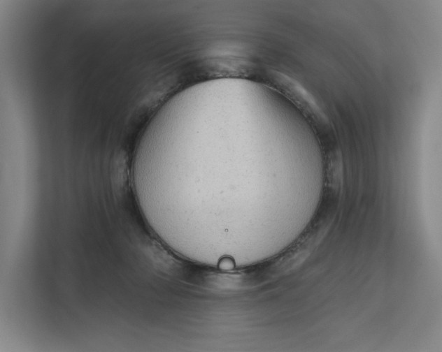 X0000111940318200908101207