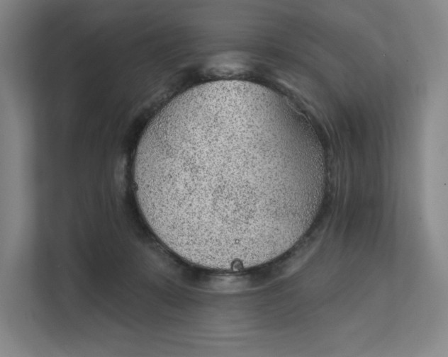 X0000111940319200908101207