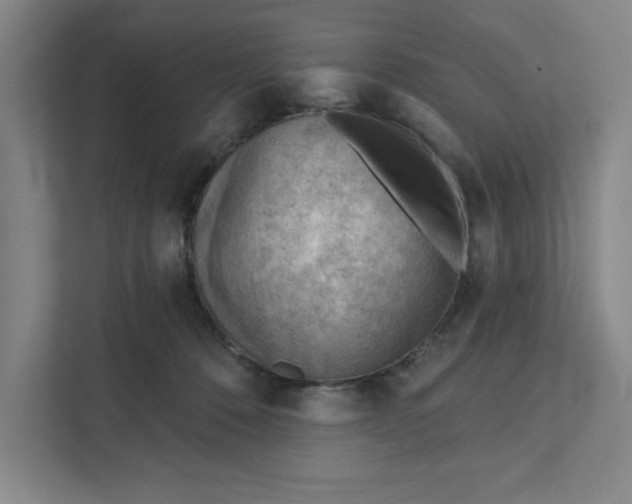 X0000111940320200908101207