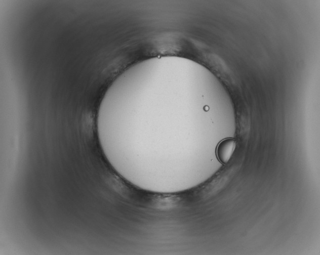 X0000111940321200908101207