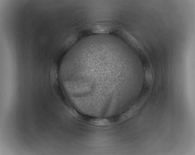 X0000111940322200908101207