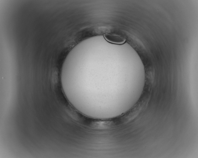 X0000111940323200908101207