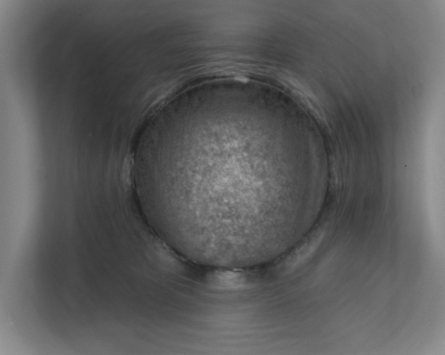 X0000111940325200908101207